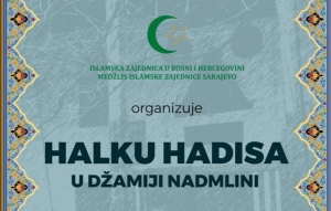 Vakuf u vidu organizacije halke hadisa