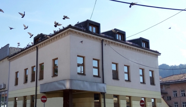 Učenicima i studentima besplatno učlanjenje u JU Specijalna biblioteka &ldquo;Behram-beg&rdquo;