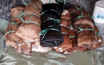 Džemat Pojske za primjer kako skladi&scaron;titi kožice