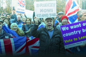 Pouke jednog referenduma - Brexit i Bosna