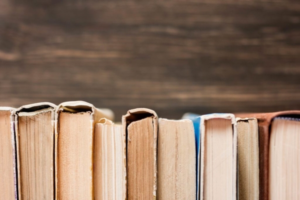 Biografija reisu-l-uleme hfz. Ibrahim-ef. Maglajlića