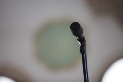 Tri &scaron;tetna trenda kod bosanskih muslimanskih intelektualaca