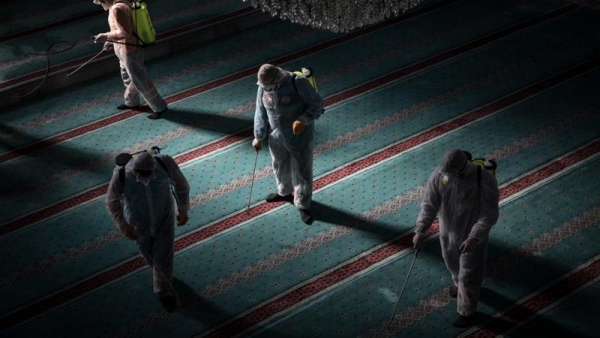 Komparativni pregled fetvi o korona virusu