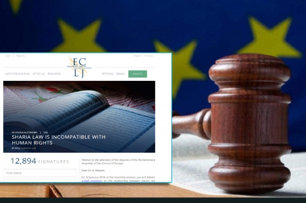 Na web stranici međunarodne nevladine organizacije koja ima savjetodavni status pri OUN European Centre for Law and Justice (ECLJ) https://eclj.org/ vođena je kampanja za usvajanje ove rezolucije i objavljen osvrt na usvojenu rezoluciju pod naslovom &bdquo;Showdown: Sharia and Human Rights&ldquo; (Konačni obračun: &Scaron;eriat i ljudska prava) autora Nicholasa Bauera