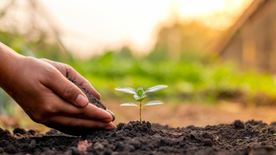 Ne&scaron;to lijepo treba da se desi