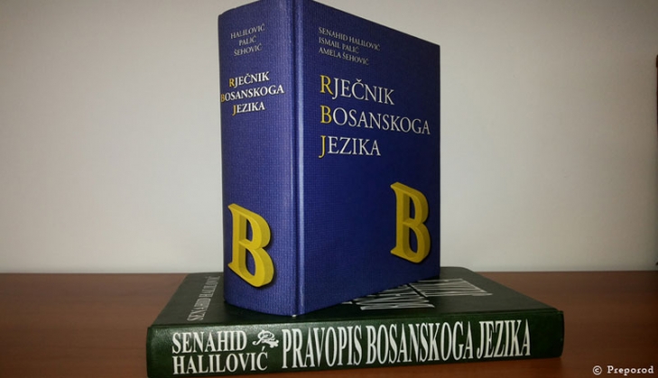 Osvrt na Rezoluciju o bosanskom jeziku Sabora IZ