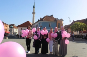 Tuzla: Obilježen Dan roze marame