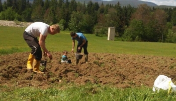 Sve ove probleme i njihove posljedice generira politika