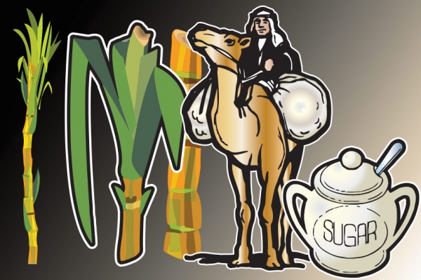 Uzgoj &scaron;ećerne trske i proizvodnja &scaron;ećera