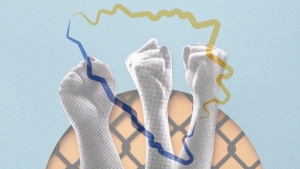 Najslobodniji dio Evrope danas: Federacija BiH